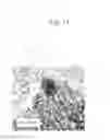 Fig. 12 - Exhaust gas purifying catalyst and production process thereof