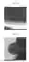 Fig. 18 - Exhaust gas purifying catalyst and production process thereof