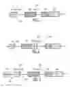 Fig. 02 - Combined slip catalyst and hydrocarbon exotherm catalyst