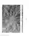 Fig. 07 - METHOD FOR THE SYNTHESIS OF CARBON NANOTUBES ON LONG PARTICULATE MICROMETRIC MATERIALS