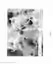 Fig. 10 - METHOD FOR THE SYNTHESIS OF CARBON NANOTUBES ON LONG PARTICULATE MICROMETRIC MATERIALS