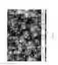 Fig. 12 - METHOD FOR THE SYNTHESIS OF CARBON NANOTUBES ON LONG PARTICULATE MICROMETRIC MATERIALS
