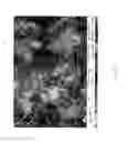 Fig. 13 - METHOD FOR THE SYNTHESIS OF CARBON NANOTUBES ON LONG PARTICULATE MICROMETRIC MATERIALS