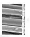 Fig. 14 - METHOD FOR THE SYNTHESIS OF CARBON NANOTUBES ON LONG PARTICULATE MICROMETRIC MATERIALS