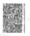 Fig. 15 - METHOD FOR THE SYNTHESIS OF CARBON NANOTUBES ON LONG PARTICULATE MICROMETRIC MATERIALS