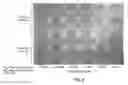 Fig. 05 - Treatment of hyperproliferative diseases with vinca alkaloid N-oxide analogs