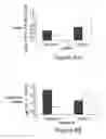 Fig. 09 - Treatment of hyperproliferative diseases with vinca alkaloid N-oxide analogs