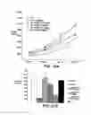 Fig. 13 - Method for treating breast cancer using antibody binding to MMP-14