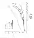 Fig. 15 - Method for treating breast cancer using antibody binding to MMP-14
