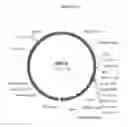 Fig. 35 - Cytotoxicity Mediation of Cells Evidencing Surface Expression of CD44