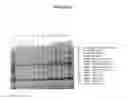 Fig. 49 - Cytotoxicity Mediation of Cells Evidencing Surface Expression of CD44