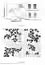 Fig. 02 - NUCLEIC ACID-MEDIATED SHAPE CONTROL OF NANOPARTICLES FOR BIOMEDICAL APPLICATIONS