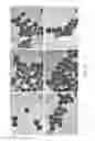 Fig. 06 - NUCLEIC ACID-MEDIATED SHAPE CONTROL OF NANOPARTICLES FOR BIOMEDICAL APPLICATIONS