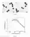 Fig. 07 - NUCLEIC ACID-MEDIATED SHAPE CONTROL OF NANOPARTICLES FOR BIOMEDICAL APPLICATIONS