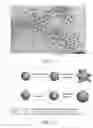 Fig. 09 - NUCLEIC ACID-MEDIATED SHAPE CONTROL OF NANOPARTICLES FOR BIOMEDICAL APPLICATIONS