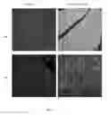 Fig. 02 - PEPTIDE-MEDIATED NON-COVALENT DELIVERY OF ACTIVE AGENTS ACROSS THE BLOOD-BRAIN BARRIER