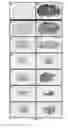 Fig. 04 - PEPTIDE-MEDIATED NON-COVALENT DELIVERY OF ACTIVE AGENTS ACROSS THE BLOOD-BRAIN BARRIER