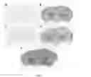 Fig. 09 - PEPTIDE-MEDIATED NON-COVALENT DELIVERY OF ACTIVE AGENTS ACROSS THE BLOOD-BRAIN BARRIER