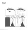 Fig. 02 - Monomeric variants of the tetrameric eqFP611