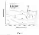 Fig. 12 - METHOTREXATE-MODIFIED NANOPARTICLES AND RELATED METHODS