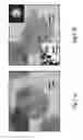 Fig. 18 - METHOTREXATE-MODIFIED NANOPARTICLES AND RELATED METHODS
