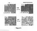 Fig. 13 - Method for forming cyclodextrin polymer and lipophilic compound emulsions, resulting emulsions, and compositions including said emulsions