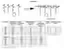 Fig. 22 - NUCLEIC ACID DELIVERY COMPOUNDS