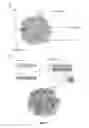 Fig. 02 - Compositions and methods for modulating an immune response