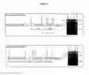 Fig. 22 - Human skin equivalents expressing exogenous polypeptides