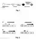 Fig. 02 - Stem cells for transplantation and methods for production thereof