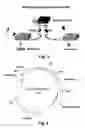 Fig. 03 - Stem cells for transplantation and methods for production thereof