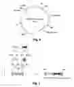 Fig. 05 - Stem cells for transplantation and methods for production thereof