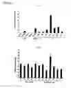 Fig. 05 - Phosphorylation-inhibiting agent or dephosphorylating agent for PTEN