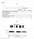 Fig. 06 - Phosphorylation-inhibiting agent or dephosphorylating agent for PTEN