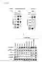 Fig. 13 - Phosphorylation-inhibiting agent or dephosphorylating agent for PTEN