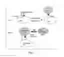 Fig. 02 - METHOD OF TREATING AUTOIMMUNE DISEASE BY INDUCING ANTIGEN PRESENTATION BY TOLERANCE INDUCING ANTIGEN PRESENTING CELLS