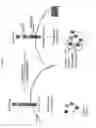 Fig. 02 - Targeted identification of immunogenic peptides