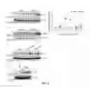 Fig. 02 - USE OF CYTOPLASMIC C-MYC FOR REGULATING IMMUNE RESPONSES