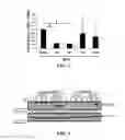 Fig. 03 - USE OF CYTOPLASMIC C-MYC FOR REGULATING IMMUNE RESPONSES