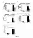Fig. 04 - USE OF CYTOPLASMIC C-MYC FOR REGULATING IMMUNE RESPONSES