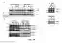 Fig. 09 - USE OF CYTOPLASMIC C-MYC FOR REGULATING IMMUNE RESPONSES