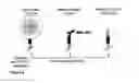 Fig. 04 - Antibodies specifically directed to a soluble form of CTLA-4