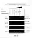 Fig. 03 - KINASE PROTEIN BINDING INHIBITORS