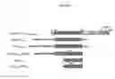 Fig. 02 - Immunogenic compositions of antigens