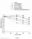 Fig. 04 - EGFR and PAR2 Regulation of Intestinal Permeability