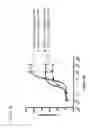 Fig. 41 - ANTAGONISTS, USES & METHODS FOR PARTIALLY INHIBITING TNFR1