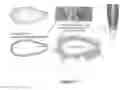 Fig. 03 - Production of recombinant proteins in ciliates and uses thereof