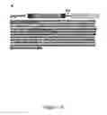 Fig. 15 - Production of recombinant proteins in ciliates and uses thereof