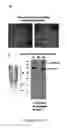 Fig. 18 - Production of recombinant proteins in ciliates and uses thereof