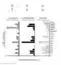 Fig. 03 - Combination immunotherapy compositions against cancer and methods